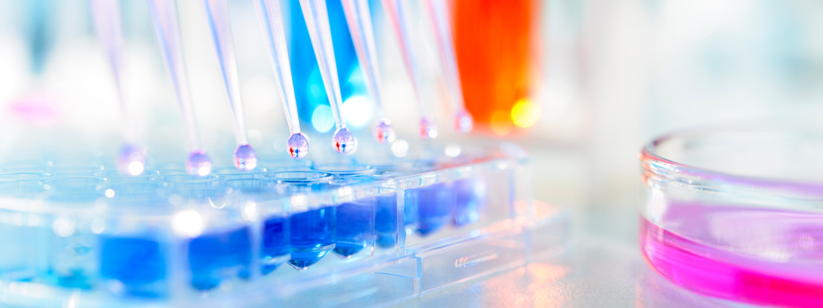 Multichannel Pipettes and Multi Well Plates