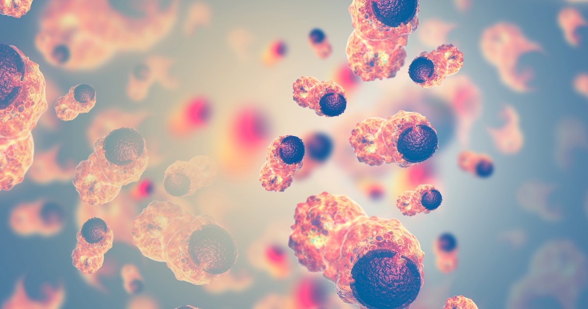 OCT East Coast 2023 SGS Chile