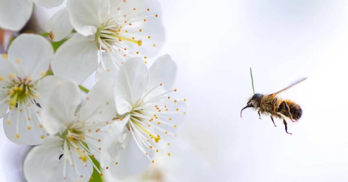 SGS InsectScan: Monitoring Insects Through DNA | SGS Kuwait