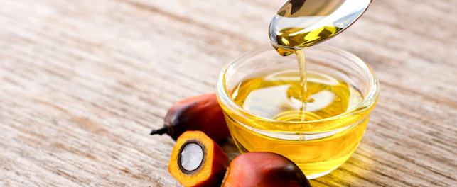 2023_03_canabis_noticia