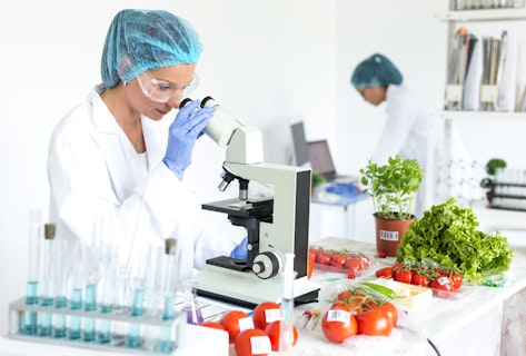 people in laboratory examining fruit and vegetables with microscope food safety