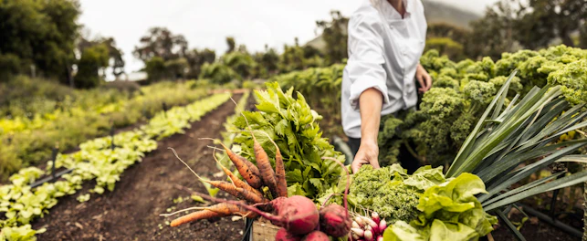 Saúde e segurança alimentar: o elo mais crítico da cadeia