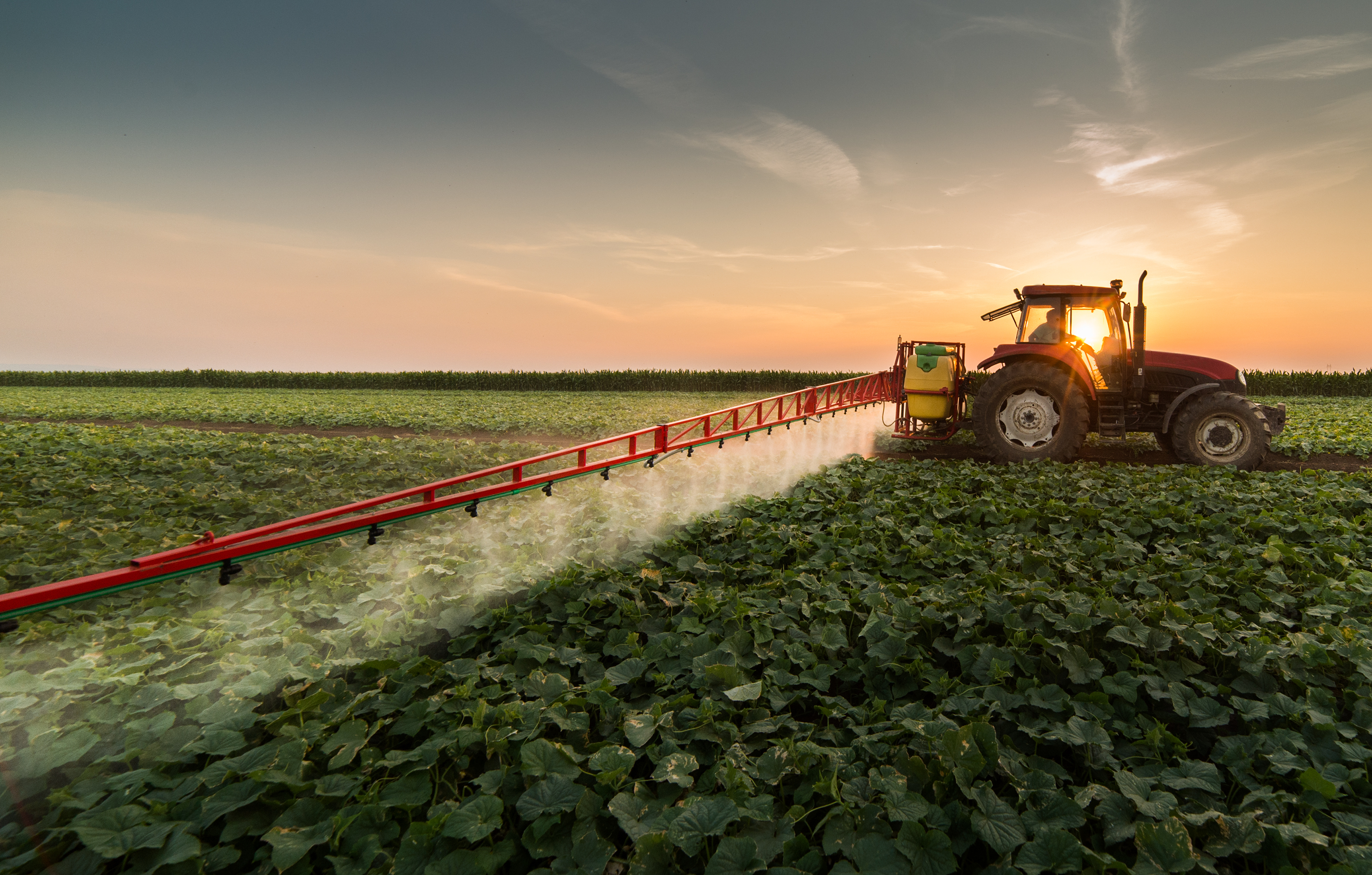 Tractor Spraying Pesticides