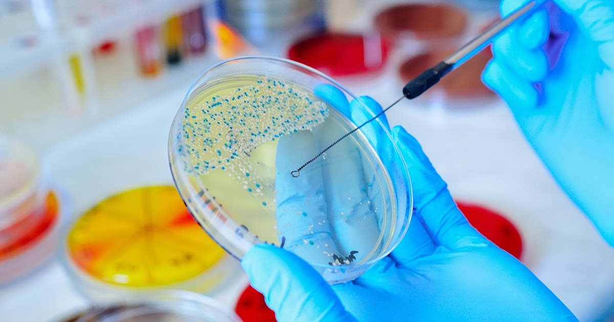Food Pathogen Testing