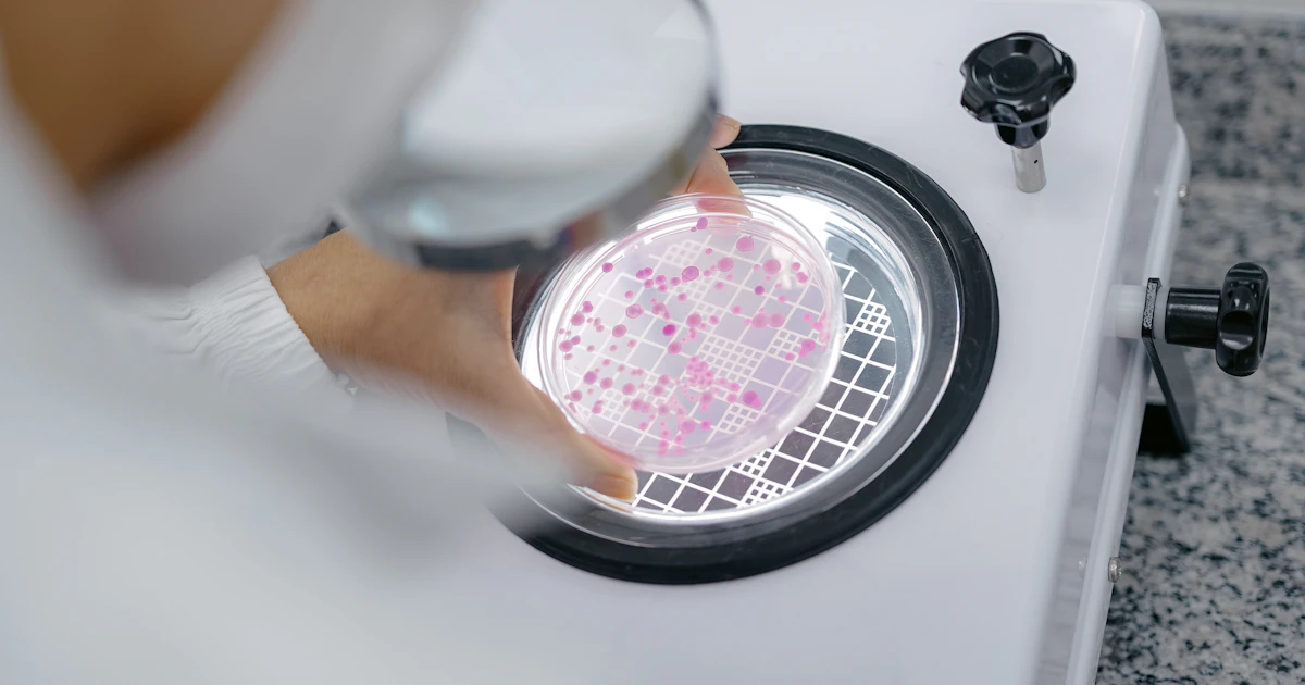 Sgs Food Testing SGS’s New Agri-Commodity and Food Testing Laboratory in Brazil Receives ...