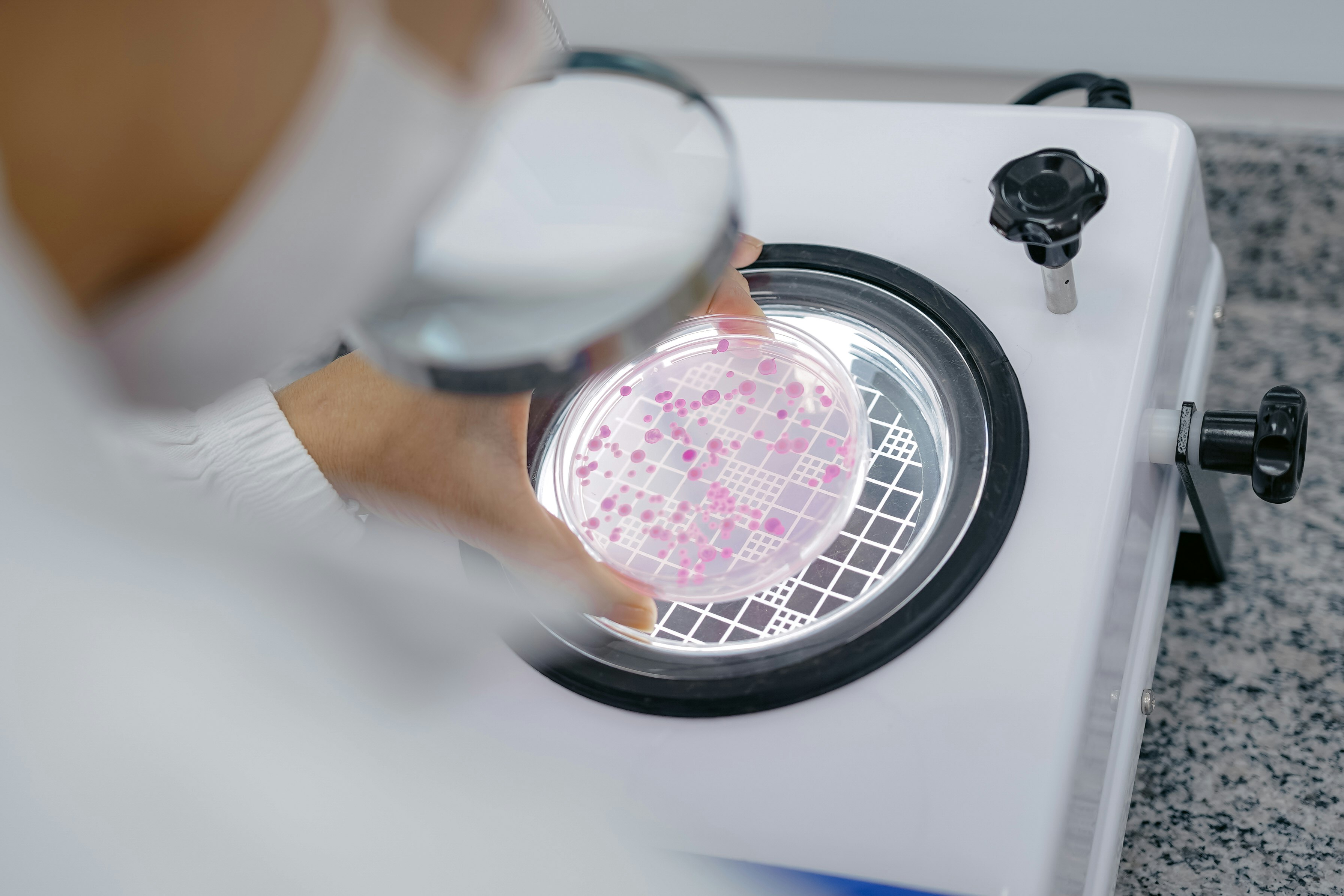 Agri Commodity and Food Testing Laboratory