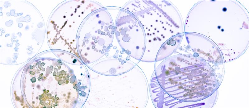 Laboratório de Microbiologia SGS Portugal