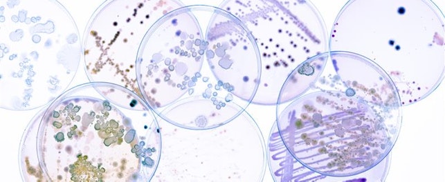 Laboratório de Microbiologia SGS Portugal