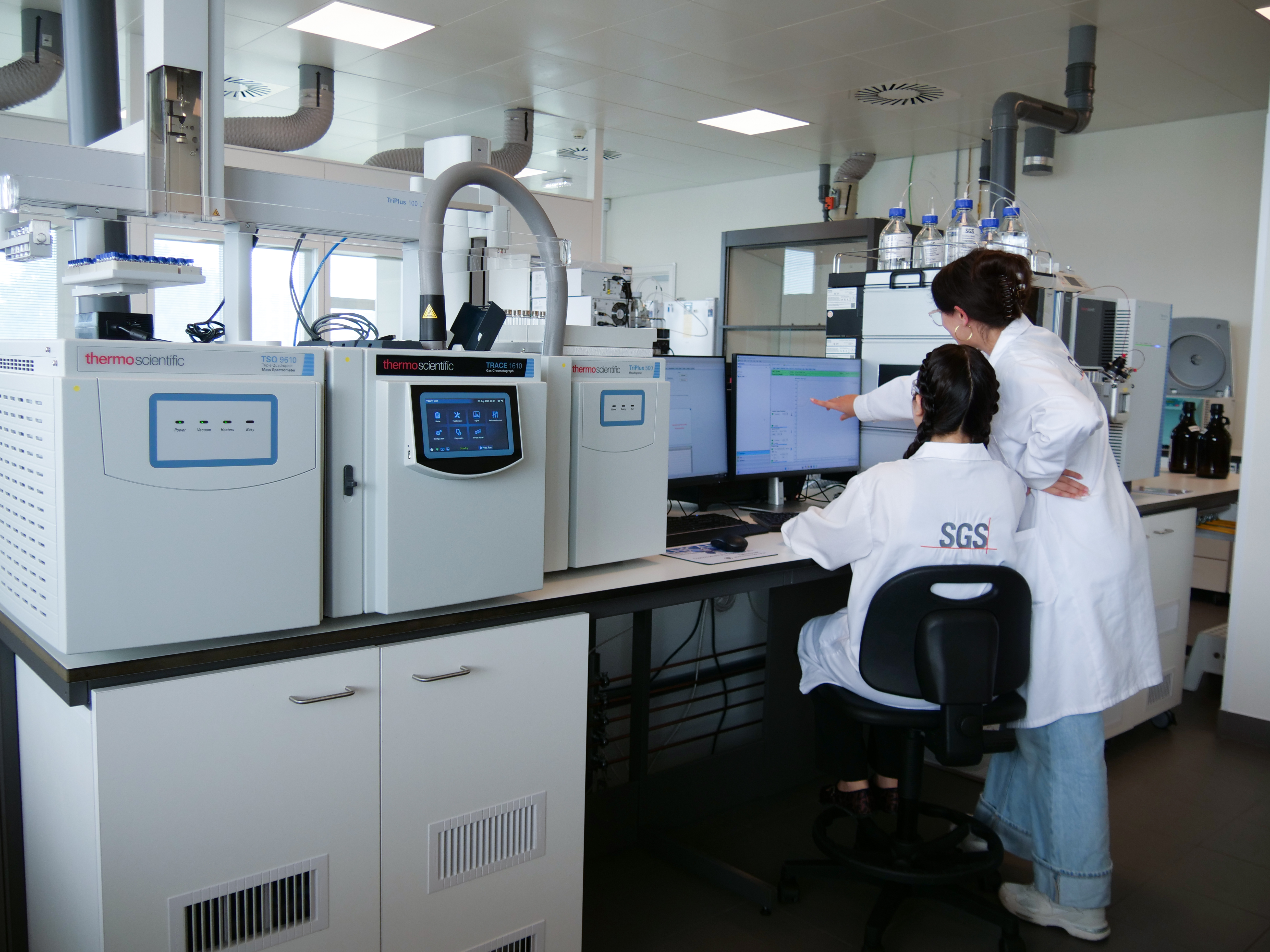 lab