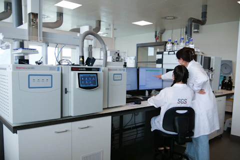 lab