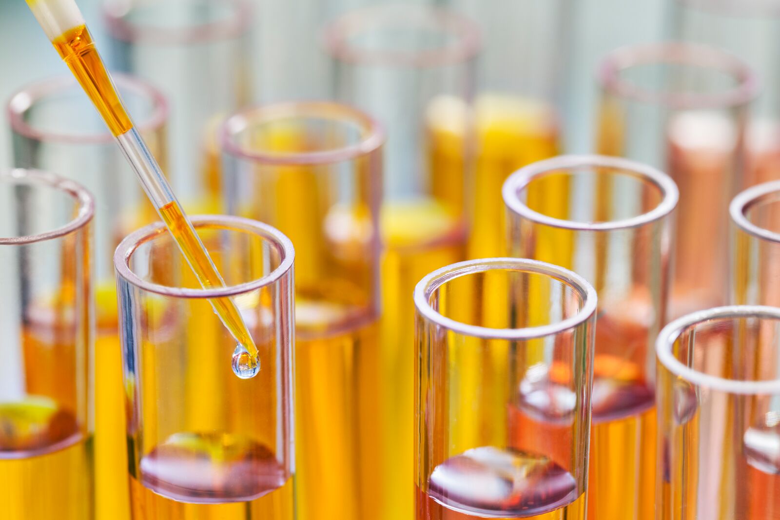 Medical Automatic Urine and Blood Analyser
