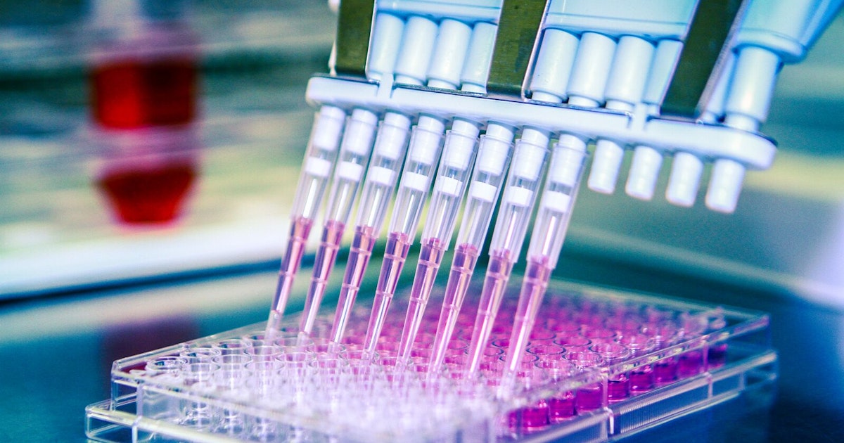 Rapid Food Microbiology Testing