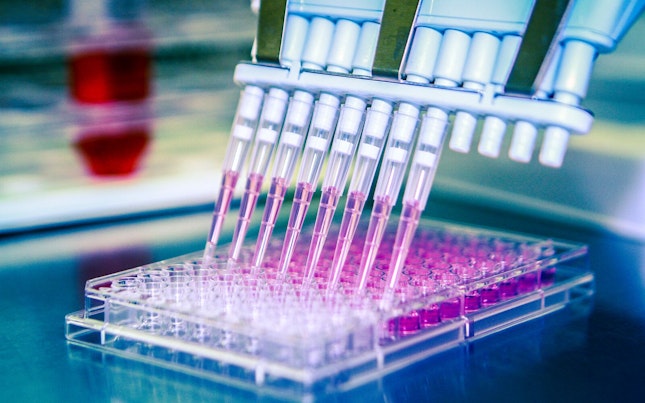 Microbios en una placa de vidrio de ensayo