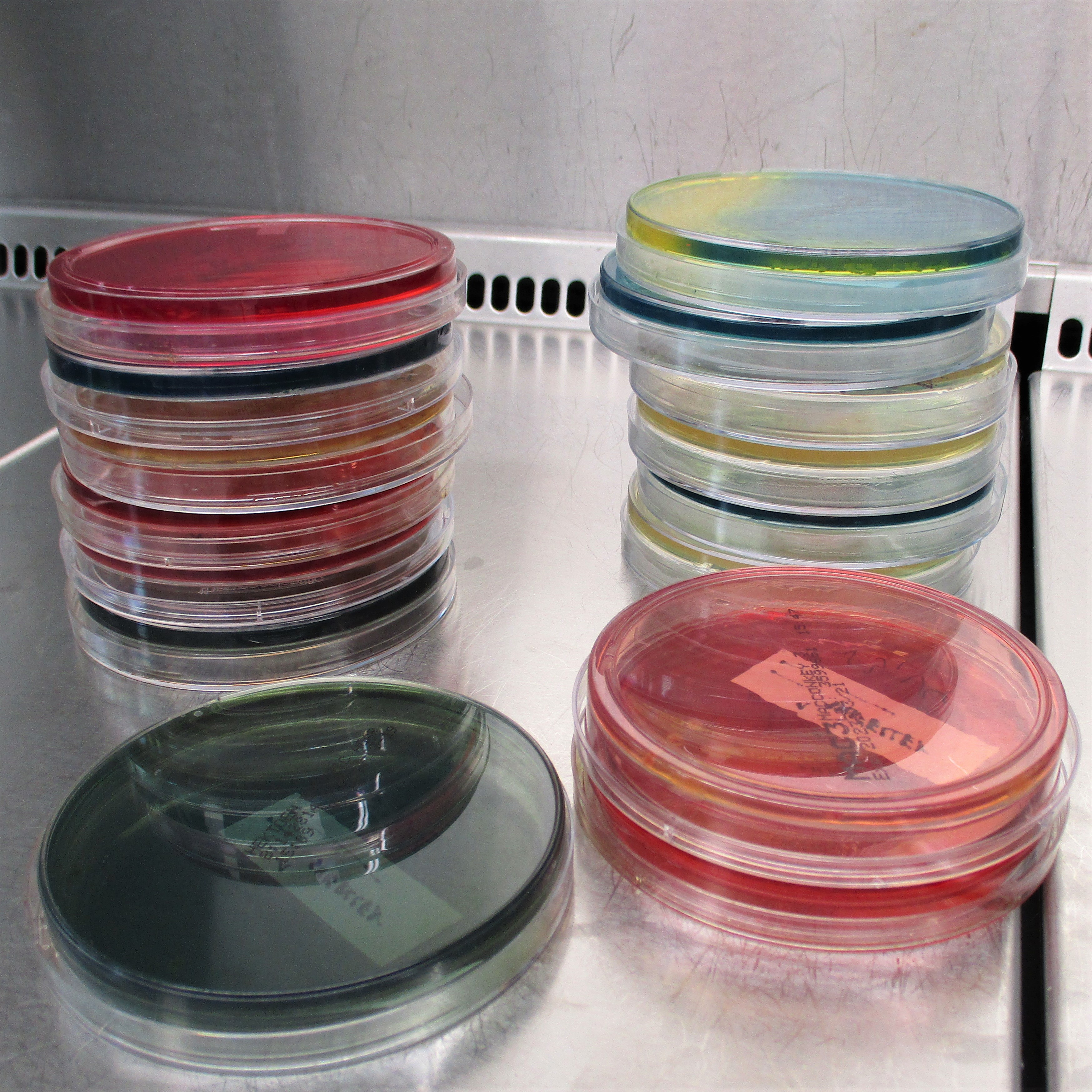 Platten Glass Cylinder