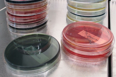 Platten Glass Cylinder