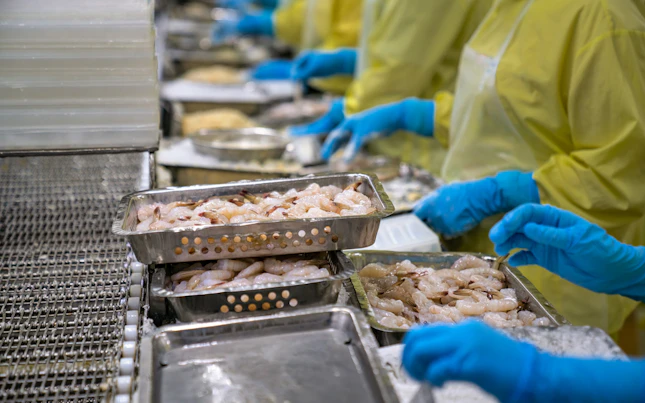 Seafood