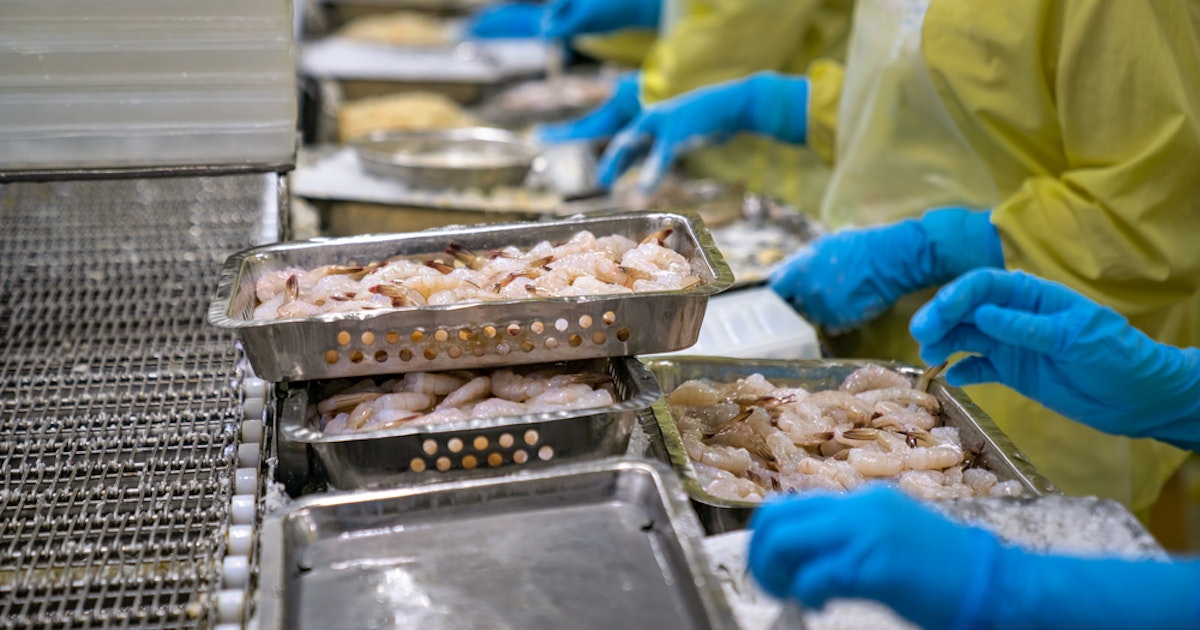 Seafood Processing Standard | SGS USA
