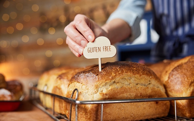 Mikroben in einer Testglasplatte