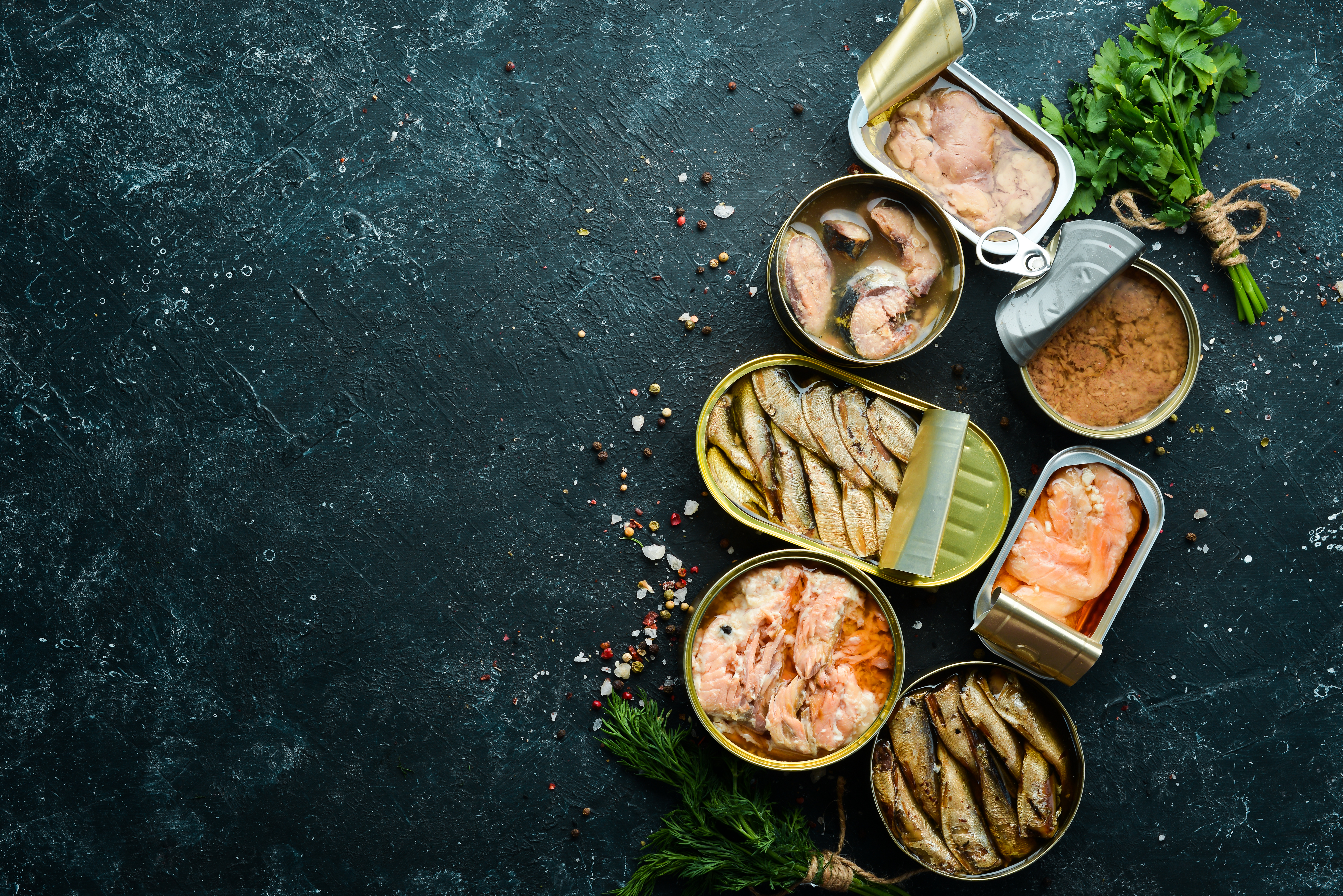 Salmon Tuna Mackerel and Sprats Canned Fish in Tin Cans