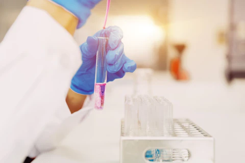 Scientist Analysing Solution in Test Tube