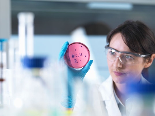 Scientist Examining Petri Dish