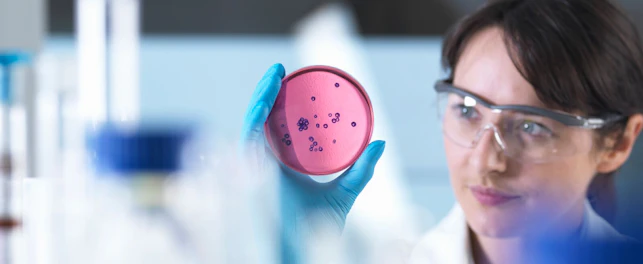 Scientist Examining Petri Dish