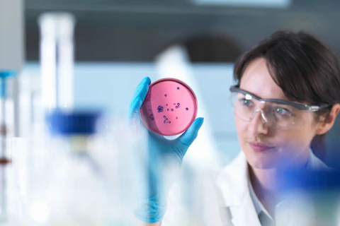 Scientist Examining Petri Dish