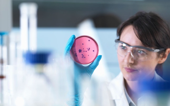 Scientist Examining Petri Dish