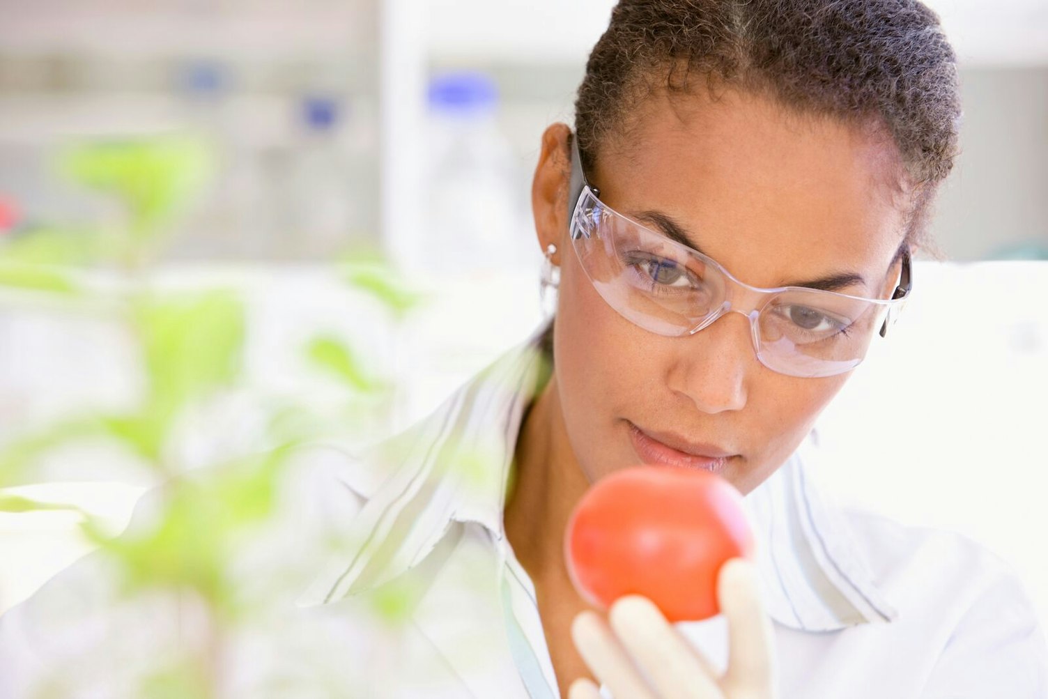 Учен, извършващ лабораторен анализ на домат
