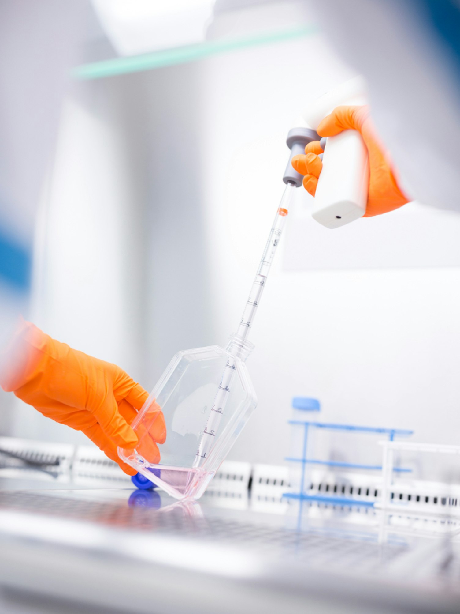 Scientist Testing Liquid Sample