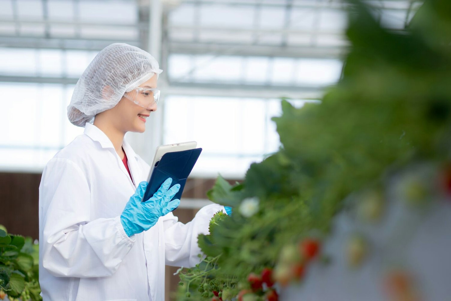 Scientist Working in Greenhouse Laboratory