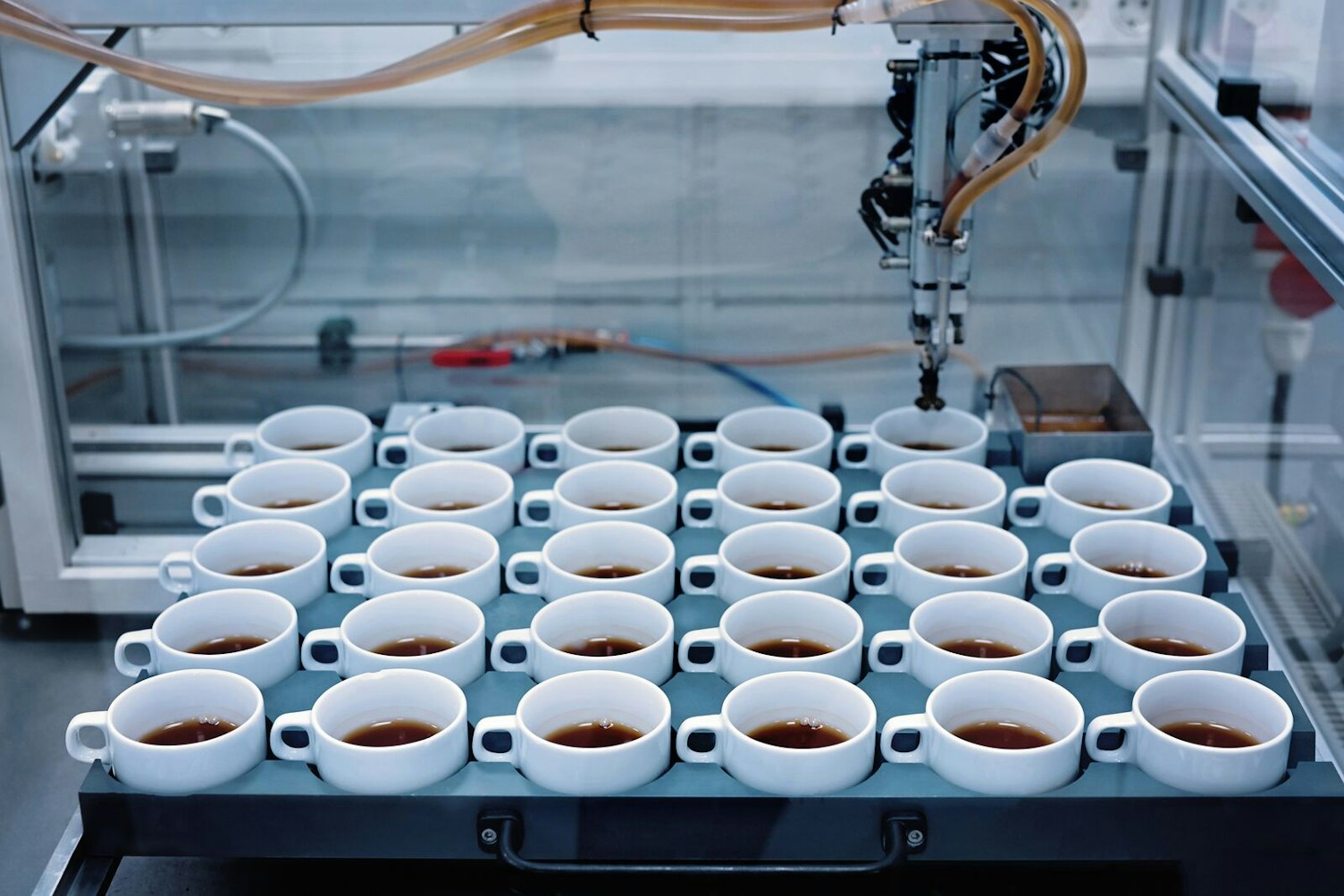 SGS Detergent Performance Test, Taunusstein Germany