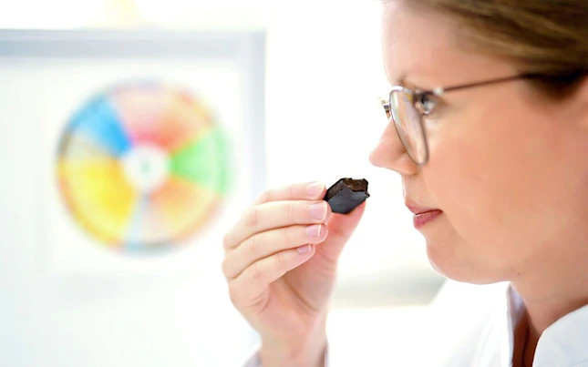 Microbios en una placa de vidrio de laboratorio