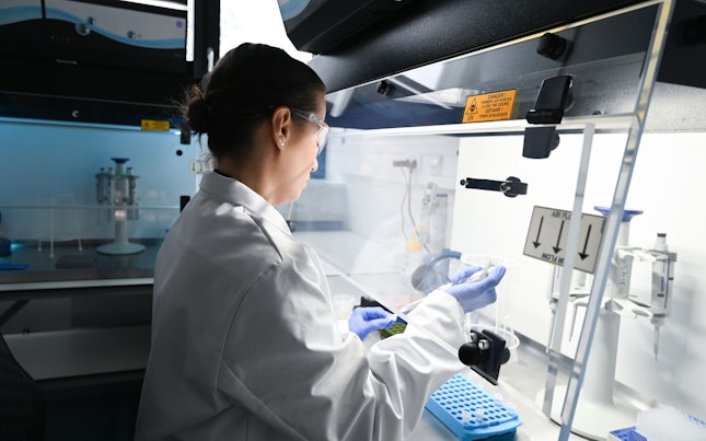 SGS Health Science Laboratory Berlin Germany Microbiology