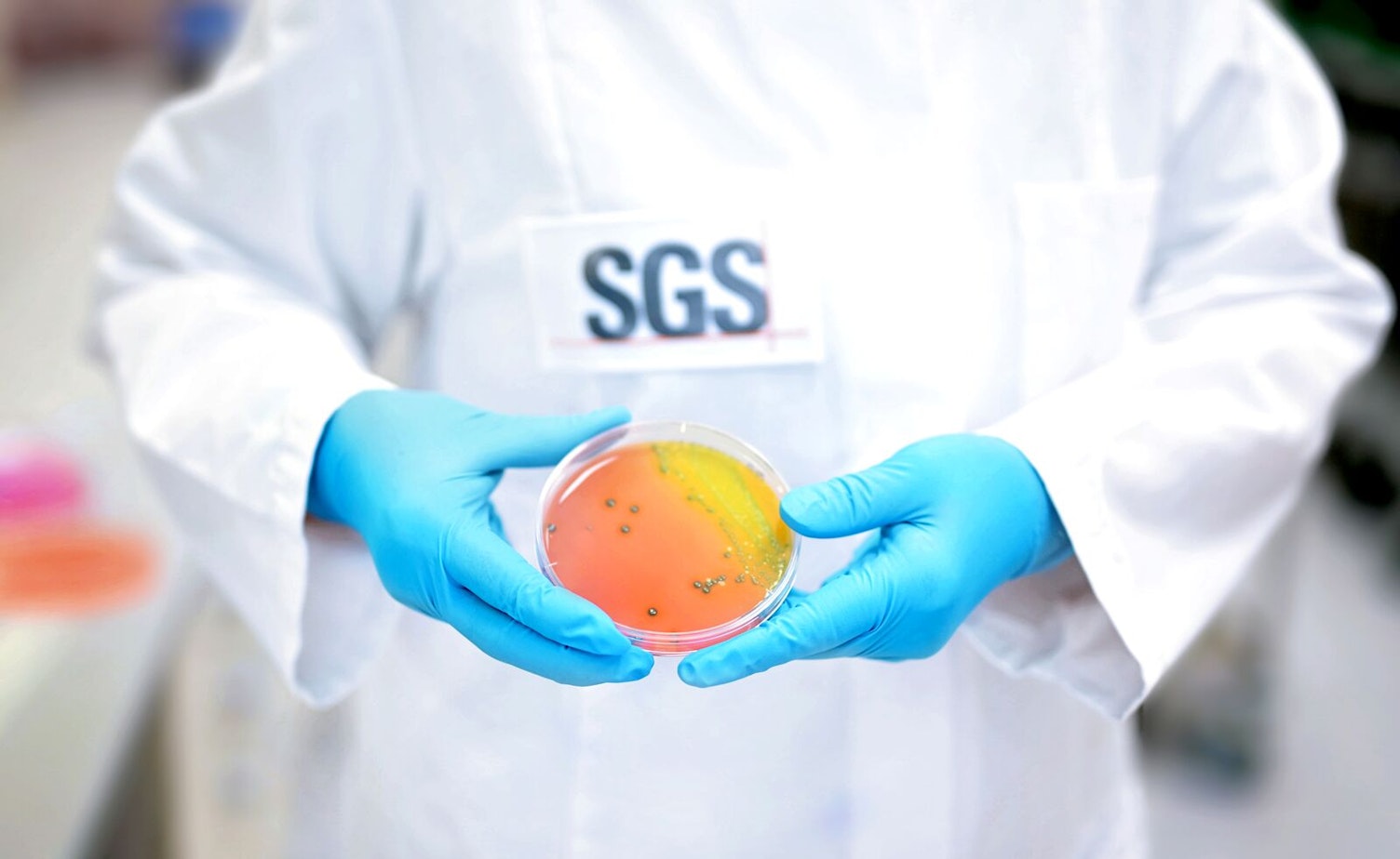 SGS Microbiology Services Lab Hamburg, Germany Cip