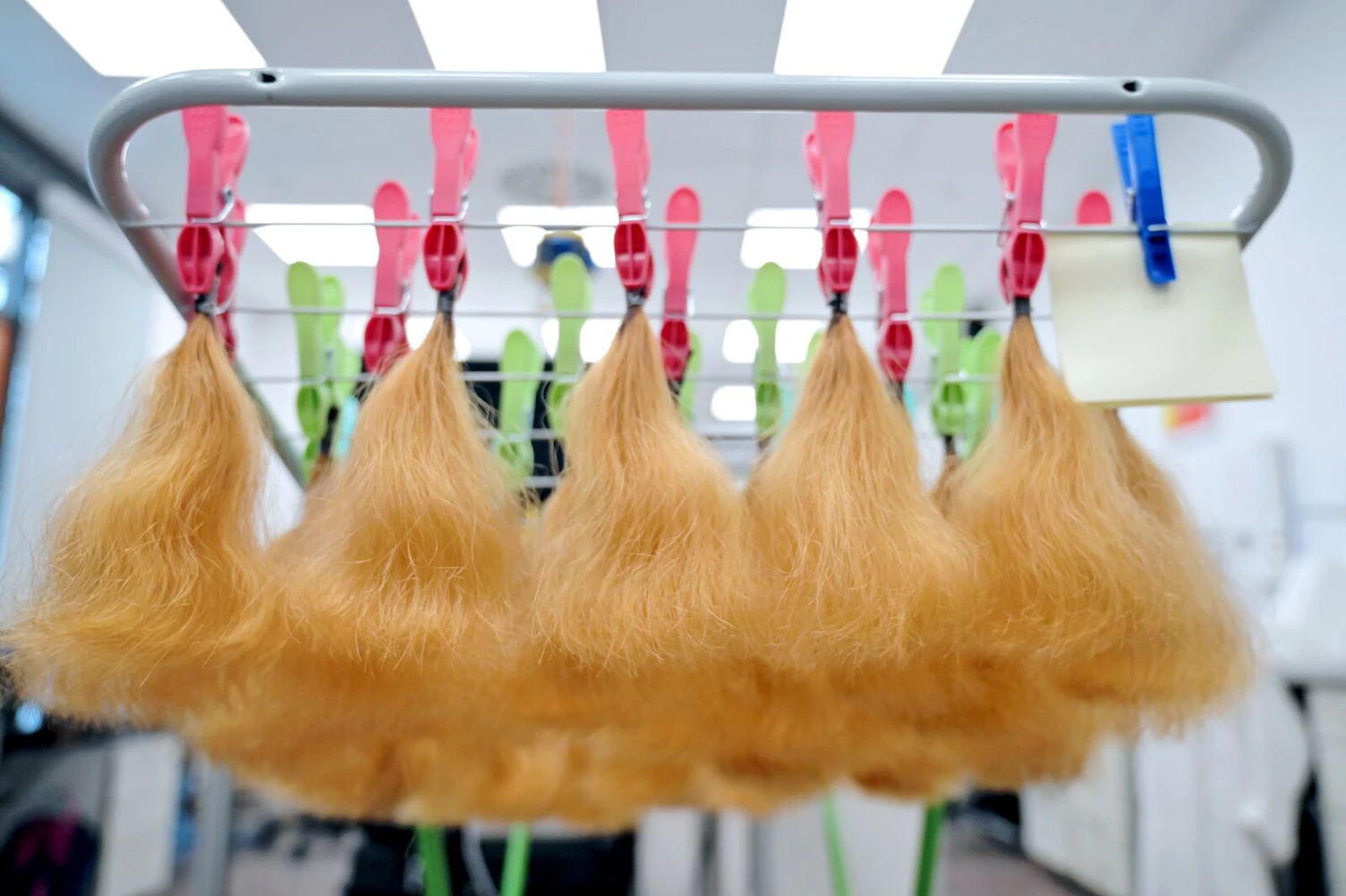 SGS Proderm Dermatology Research Center Hamburg Germany32