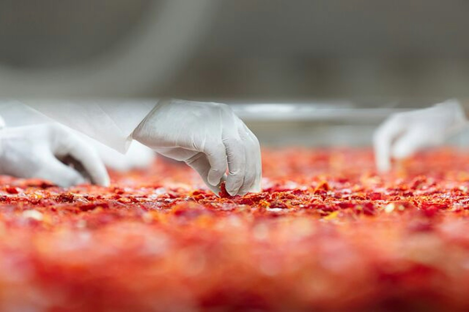 small-Dried Tomatoes Production Line
