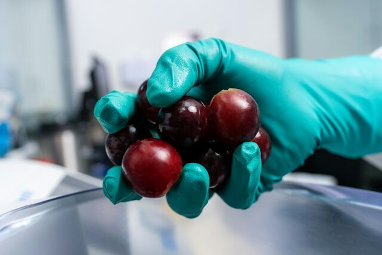 ห้องปฏิบัติการทดสอบอาหาร