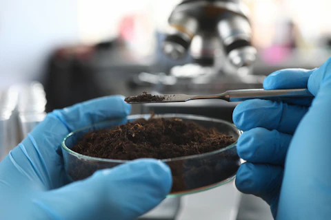 Contaminação dos solos: causas, riscos e a sua prevenção