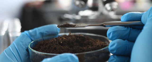 Contaminação dos solos: causas, riscos e a sua prevenção