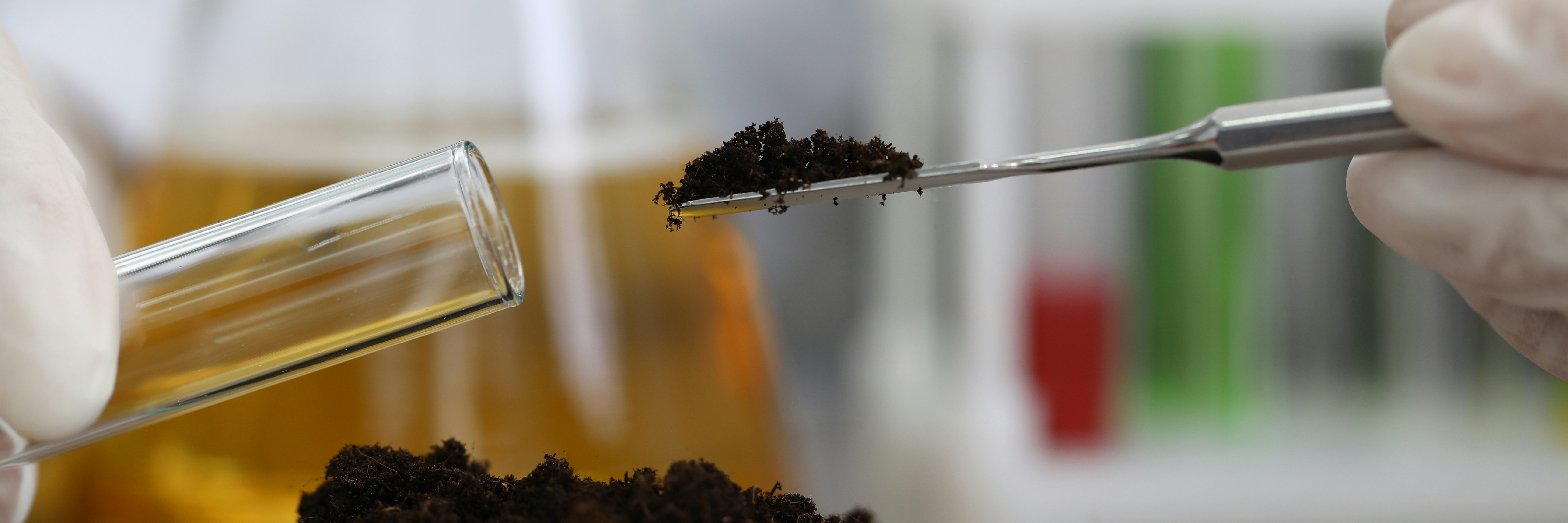 Soil Testing