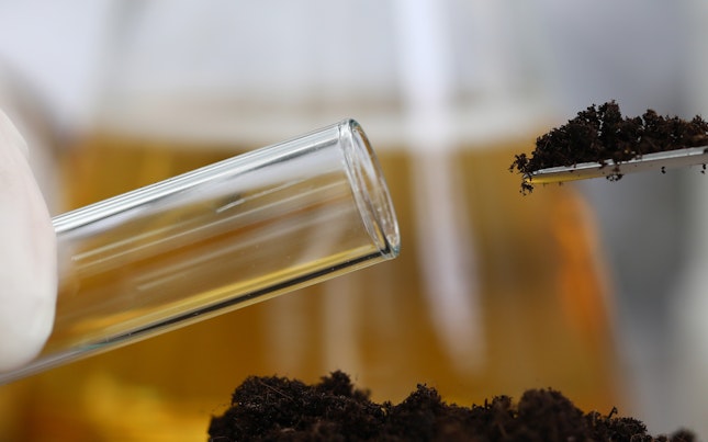 Muestras de las mismas plantas