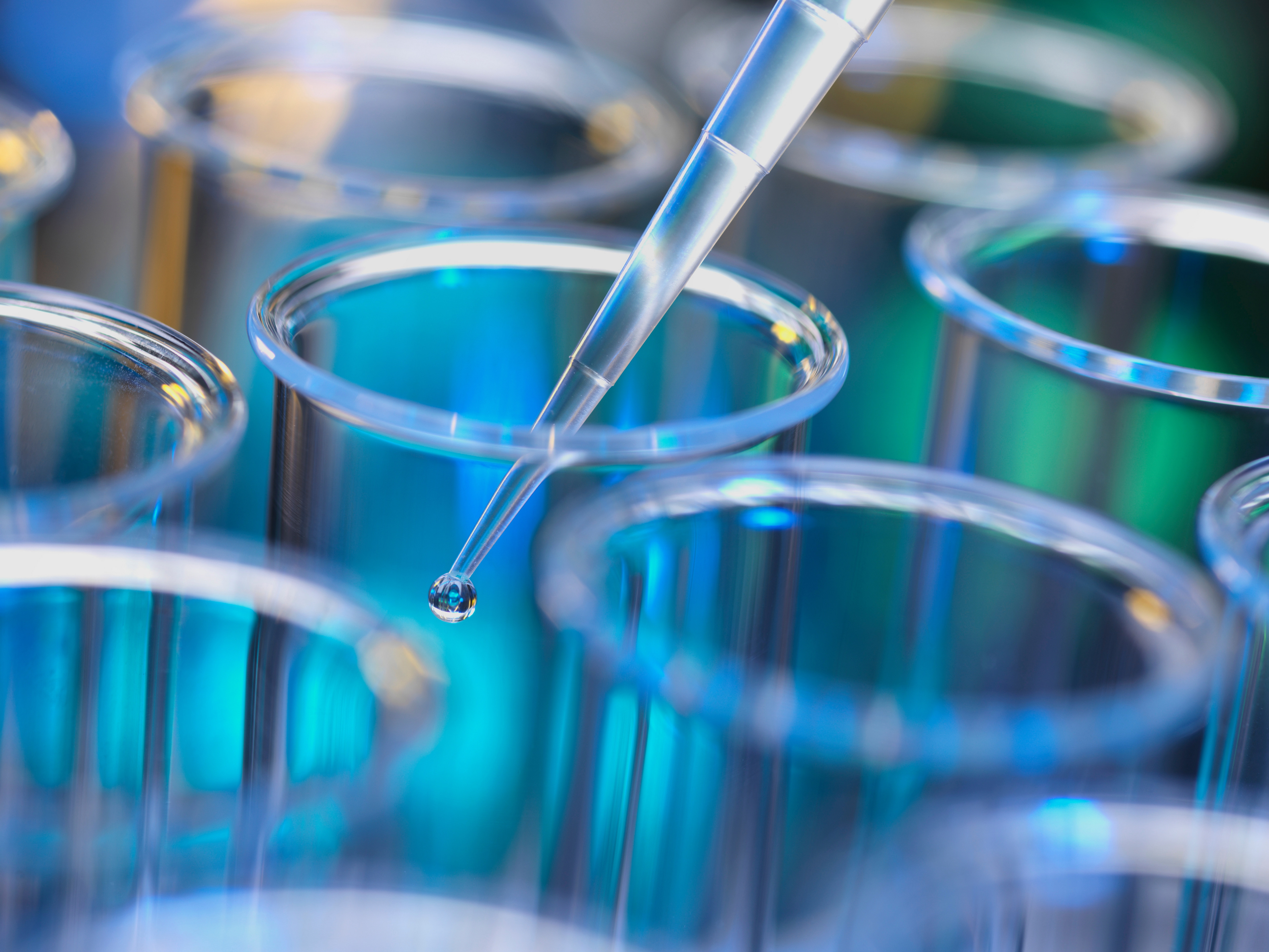 Solución pipeteada en tubos de ensayo para análisis en laboratorio