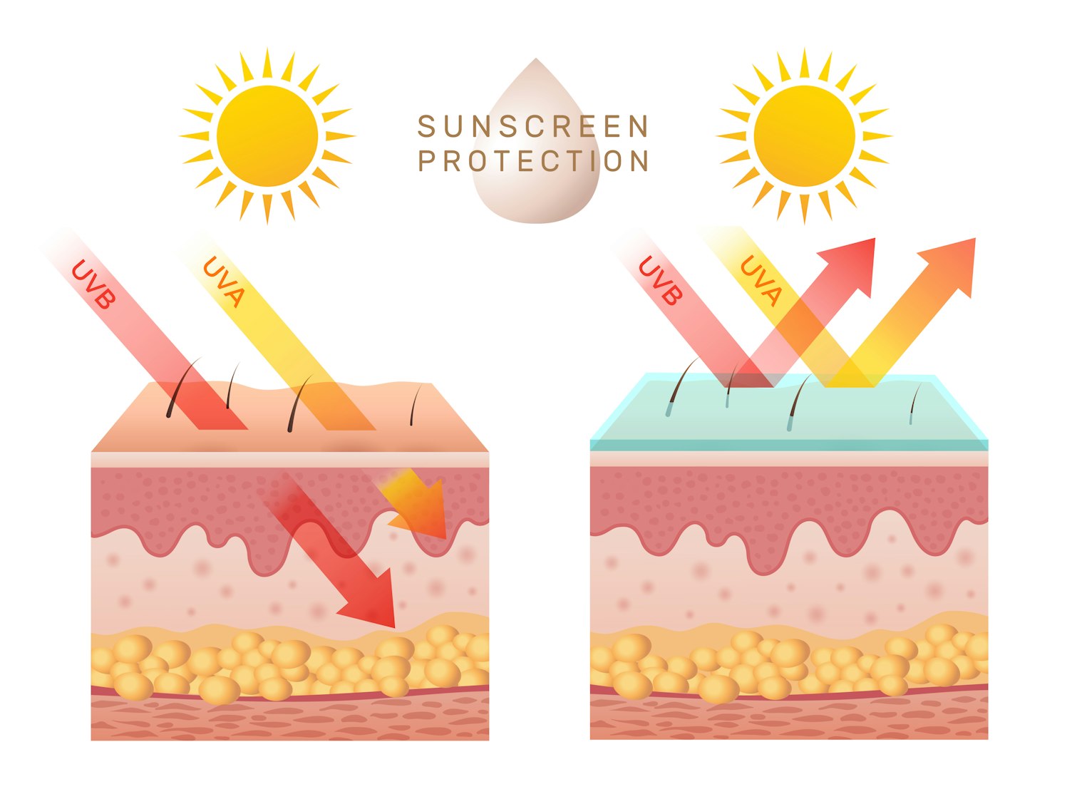 Sunscreen Protection