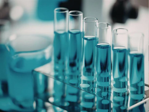 Test Tubes in the Laboratory