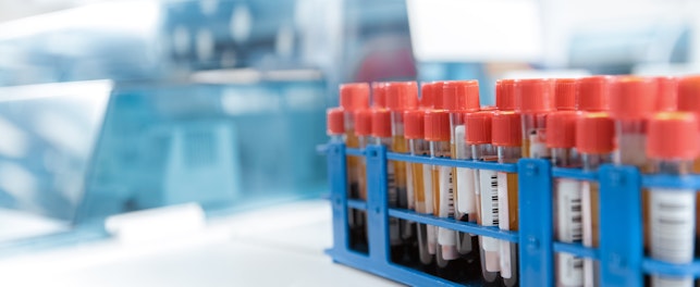 Test Tubes Rack with Blood Samples in Laboratory
