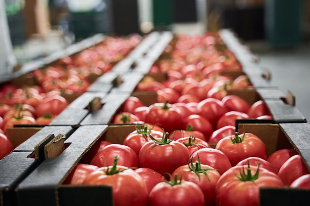 Verpackte Plastikflaschen