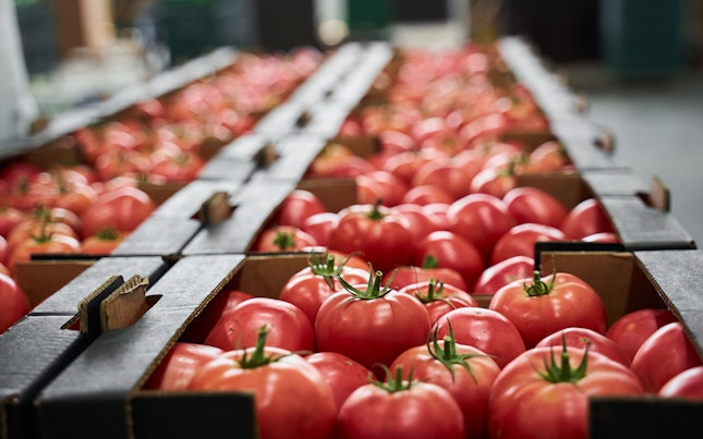 Verpackte Plastikflaschen