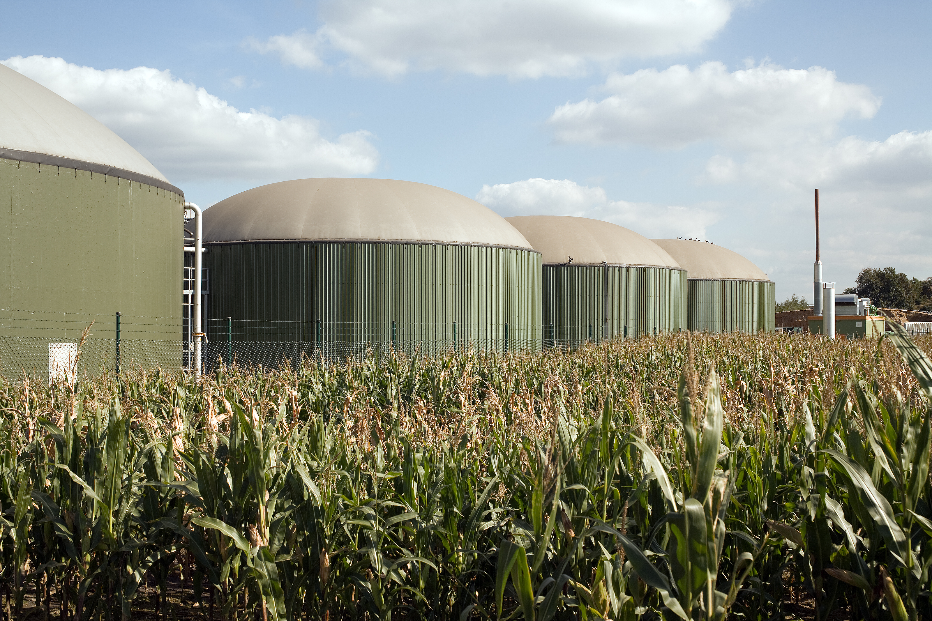 Biogás desafios e soluções na produção sustentável e eficiente