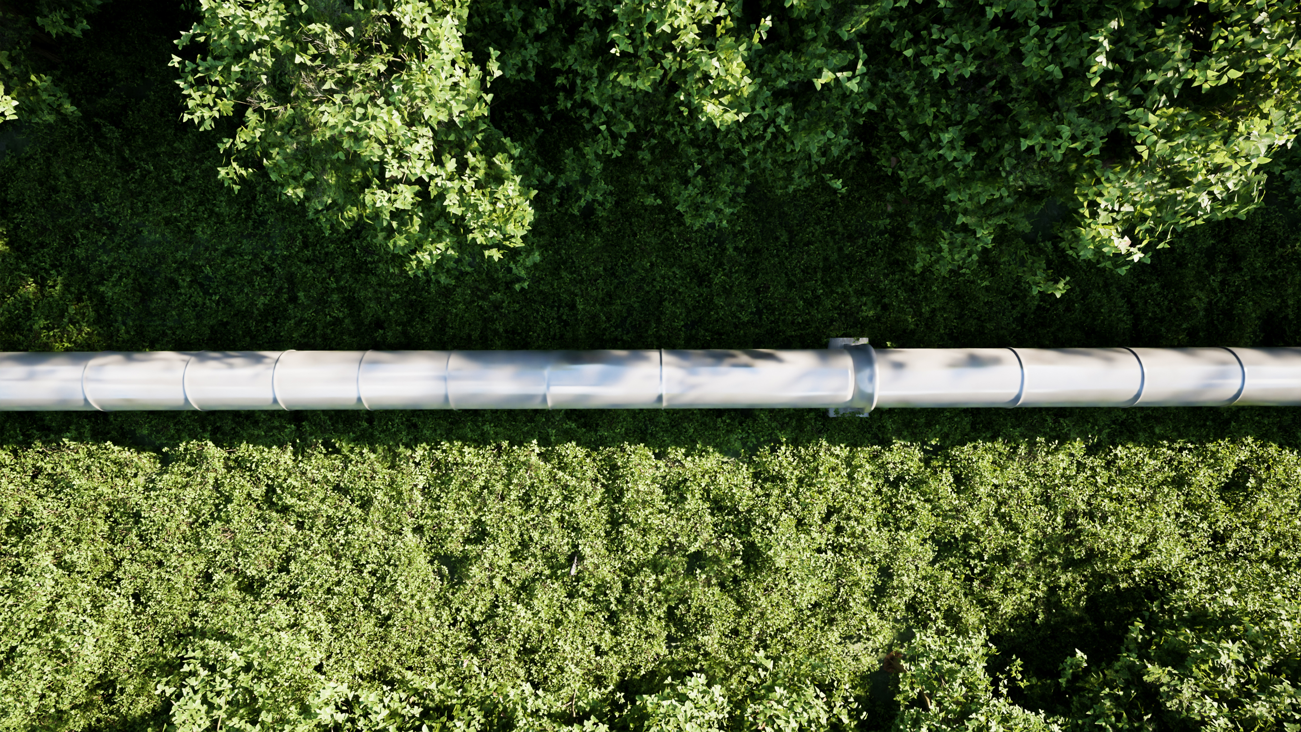 Compreender a qualidade do biogás e como a melhorar